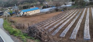 600평 농사를 짓다