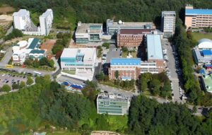 디지털커머스 수강