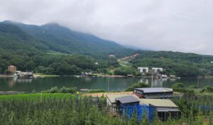 우나멜로 사과농장