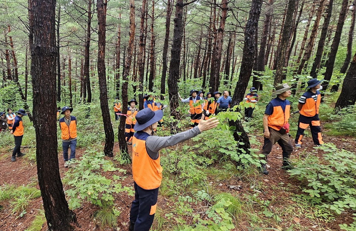 자영독림가 등록