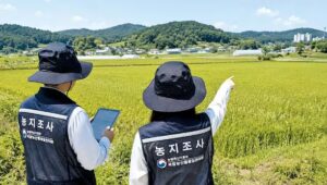 농지전수조사와 정부의 대응방침