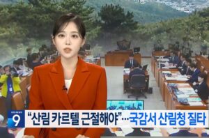 메뚜기·떴다방 산림사업법인 전수조사와 문제점